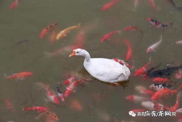 机电设备维修公司 机电维修培训学校