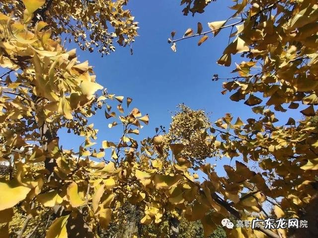 机电设备维修公司 机电维修培训学校