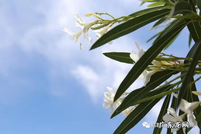 机电设备维修公司 机电维修培训学校