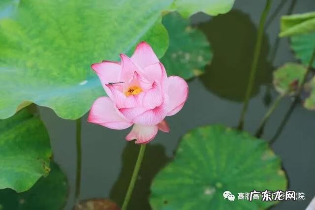 机电设备维修公司 机电维修培训学校