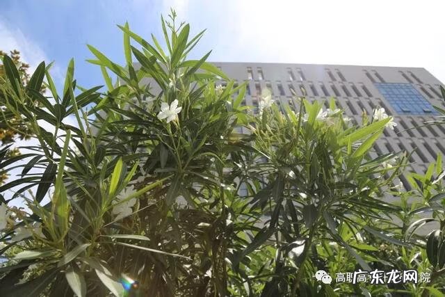 机电设备维修公司 机电维修培训学校