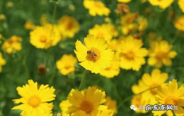 机电设备维修公司 机电维修培训学校