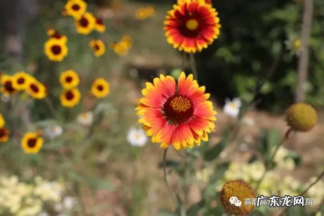 机电设备维修公司 机电维修培训学校