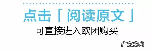 类似海滨嘉年华的游戏 海滨嘉年华手机版