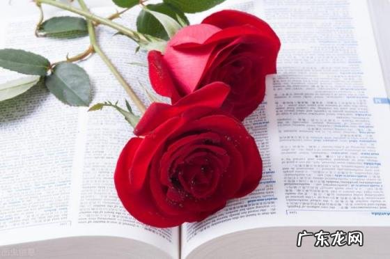 得不到的永远在骚动什么歌曲 得不到的永远在骚动,被偏爱的都有恃无恐