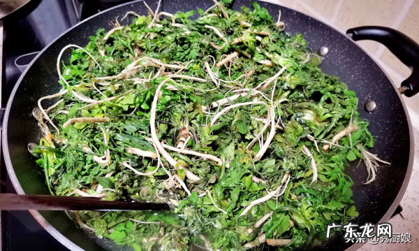 荠菜怎样吃有几种吃法 荠菜怎么吃最好吃