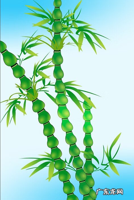 风水看发大房二房 什么风水发二房