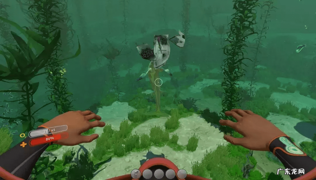 休闲游戏 美得 游戏