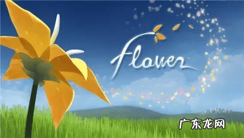 休闲游戏 美得 游戏