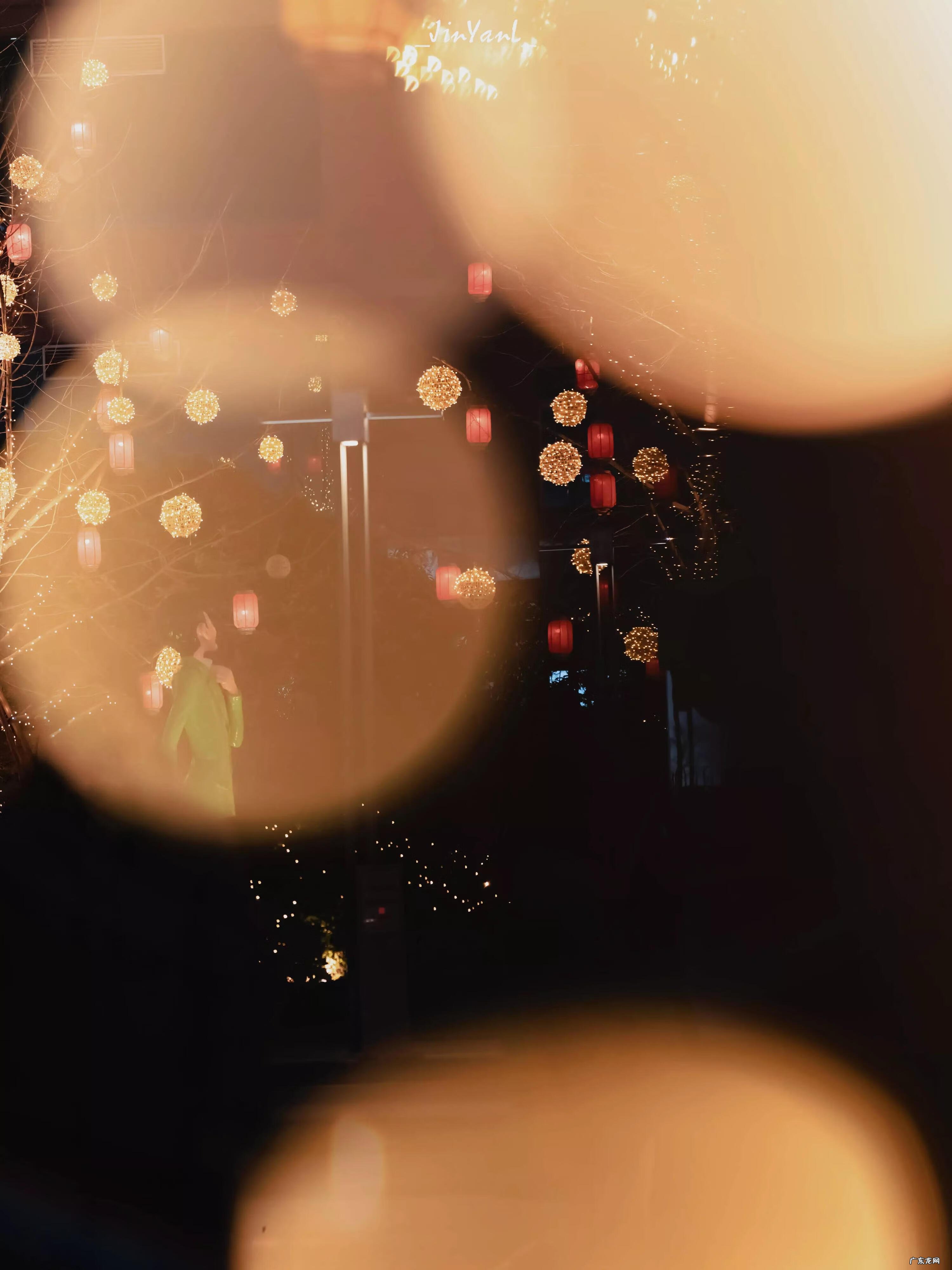 灯火阑珊小说 烟火阑珊什么意思