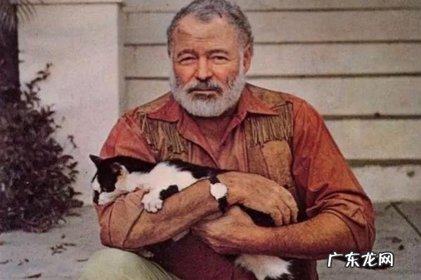 《老人与海》海明威:10句经典话,引爆你的心