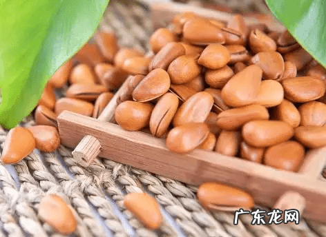 松子有什么作用和功效 松子的功效与作用禁忌