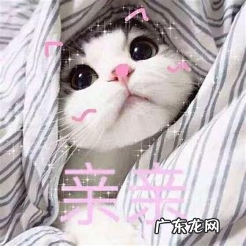 情侣之间开车表情包可爱 亲亲表情包可爱