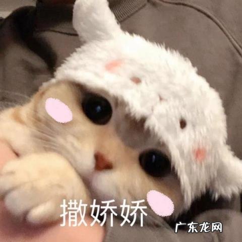 情侣之间开车表情包可爱 亲亲表情包可爱