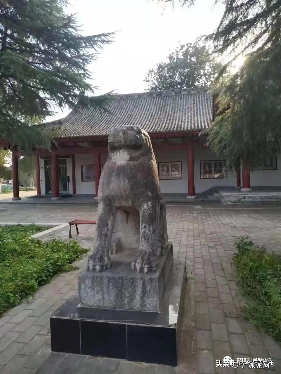 螭到底是什么 螭虎