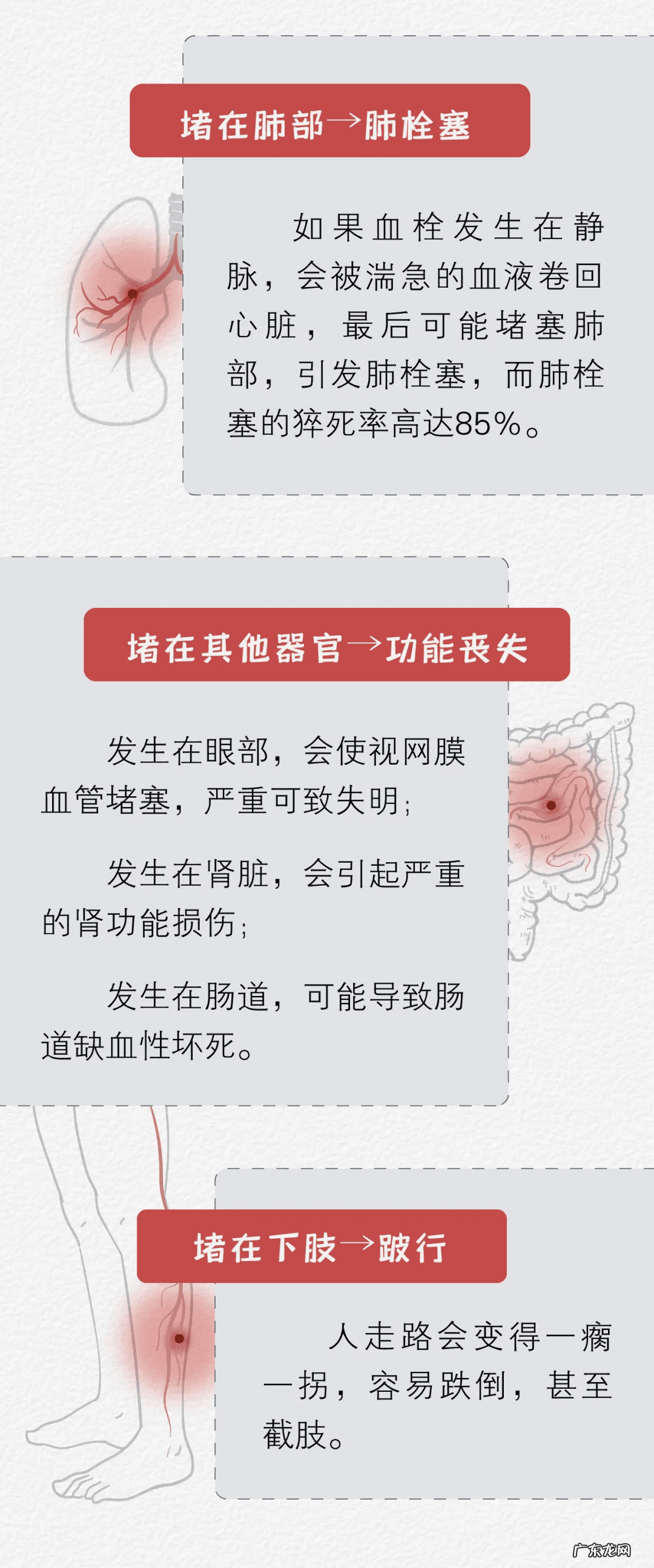 死亡之旅 危险之旅专辑