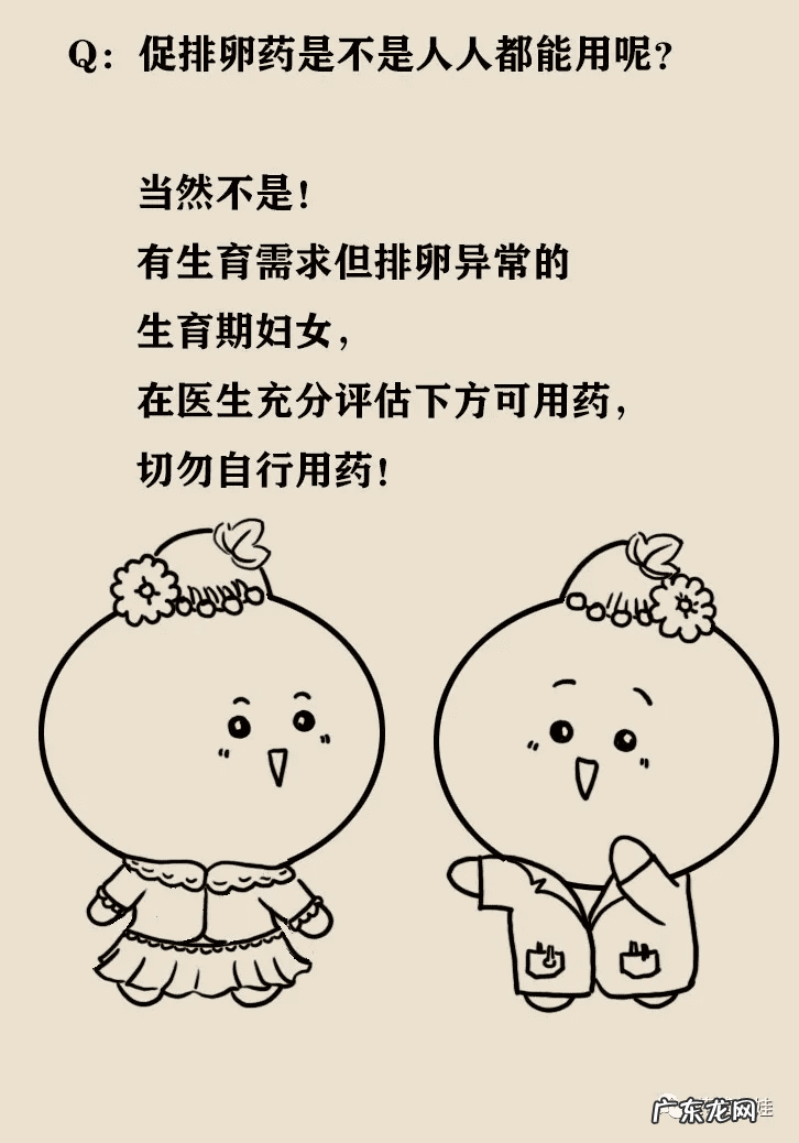 大安丸 多子丸价格