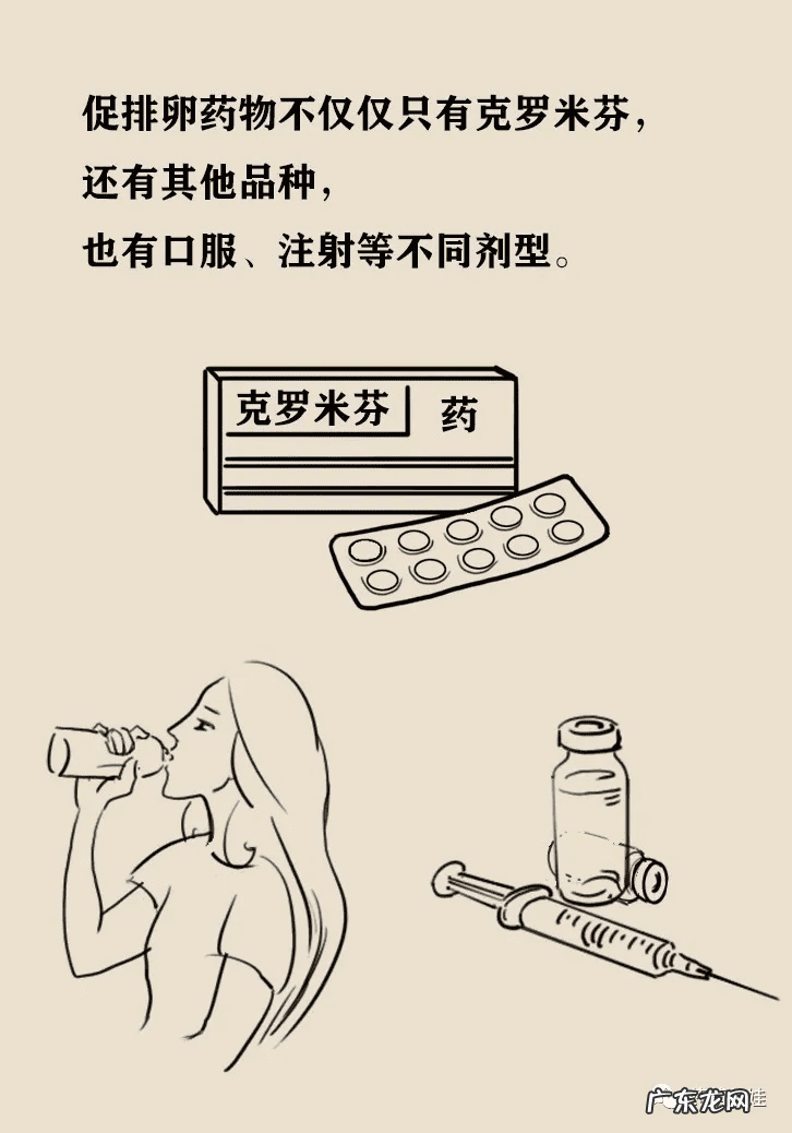 大安丸 多子丸价格