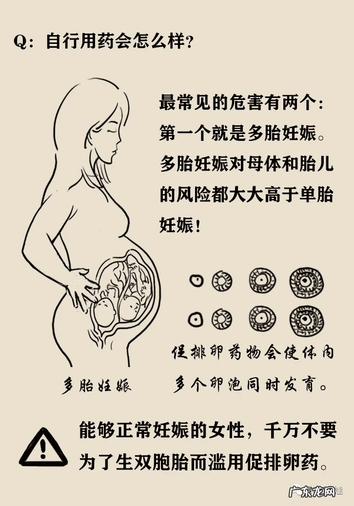 大安丸 多子丸价格