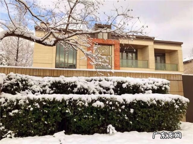 美林馆空气质量 上海西郊美林馆地址