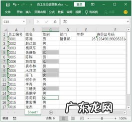 excel智能填充数据在哪 Excel2016智能填充