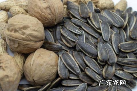 花生瓜子属于坚果吗,瓜子属不属于坚果