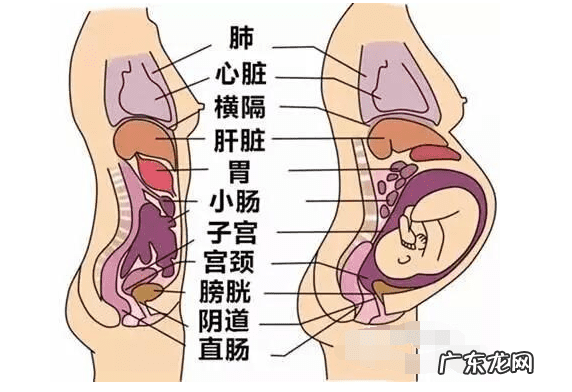 4个月的孕肚图片 怀孕四个月孕肚图