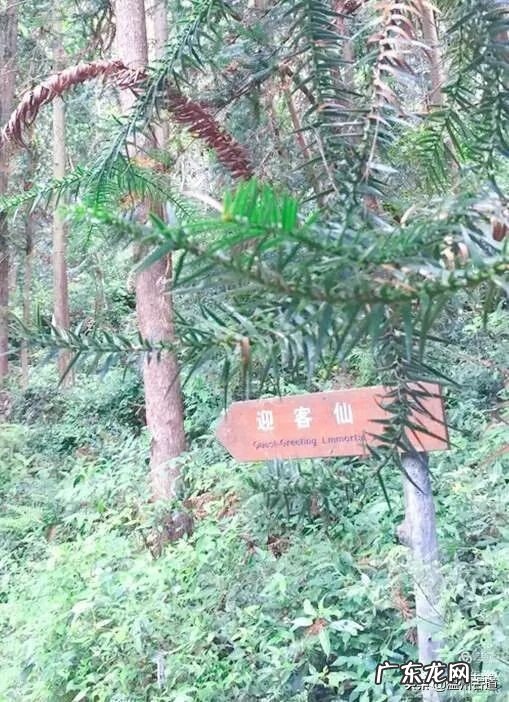 温州楠溪江天气预报 温州市永嘉楠溪江