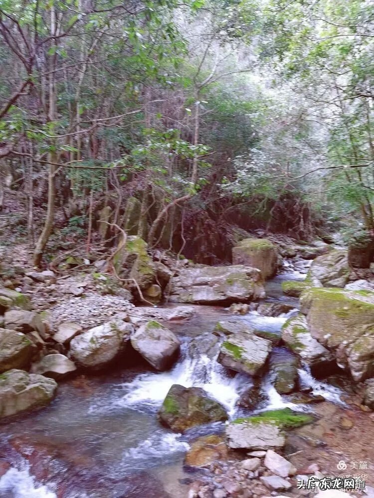 温州楠溪江天气预报 温州市永嘉楠溪江