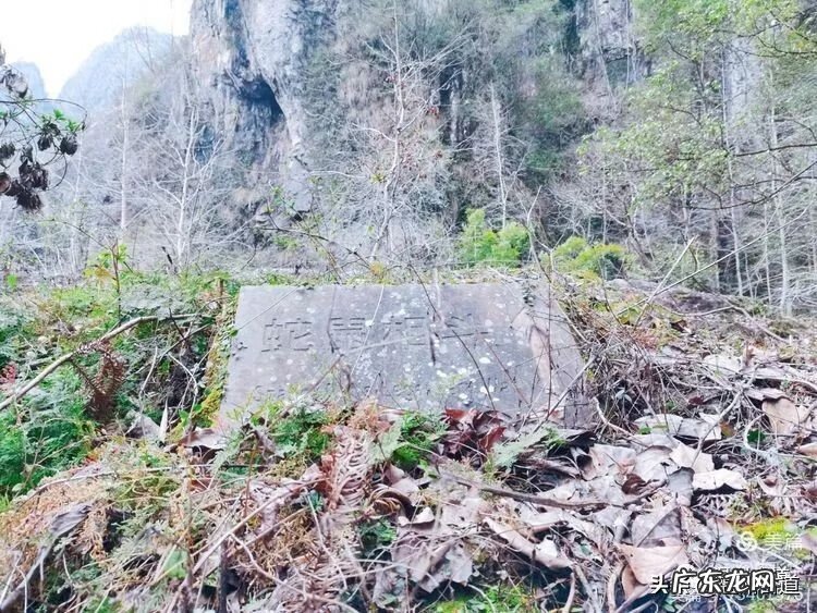 温州楠溪江天气预报 温州市永嘉楠溪江