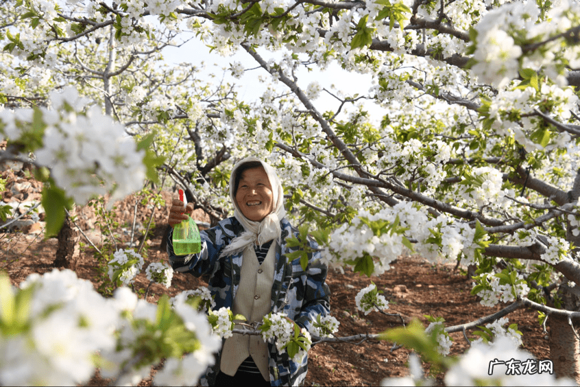 农村风水宝地 沂源风水宝地