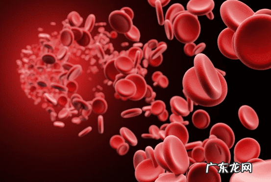 补充维生素b2的食物 维生素B2的食物有哪些