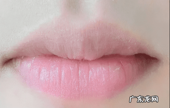 补充维生素b2的食物 维生素B2的食物有哪些