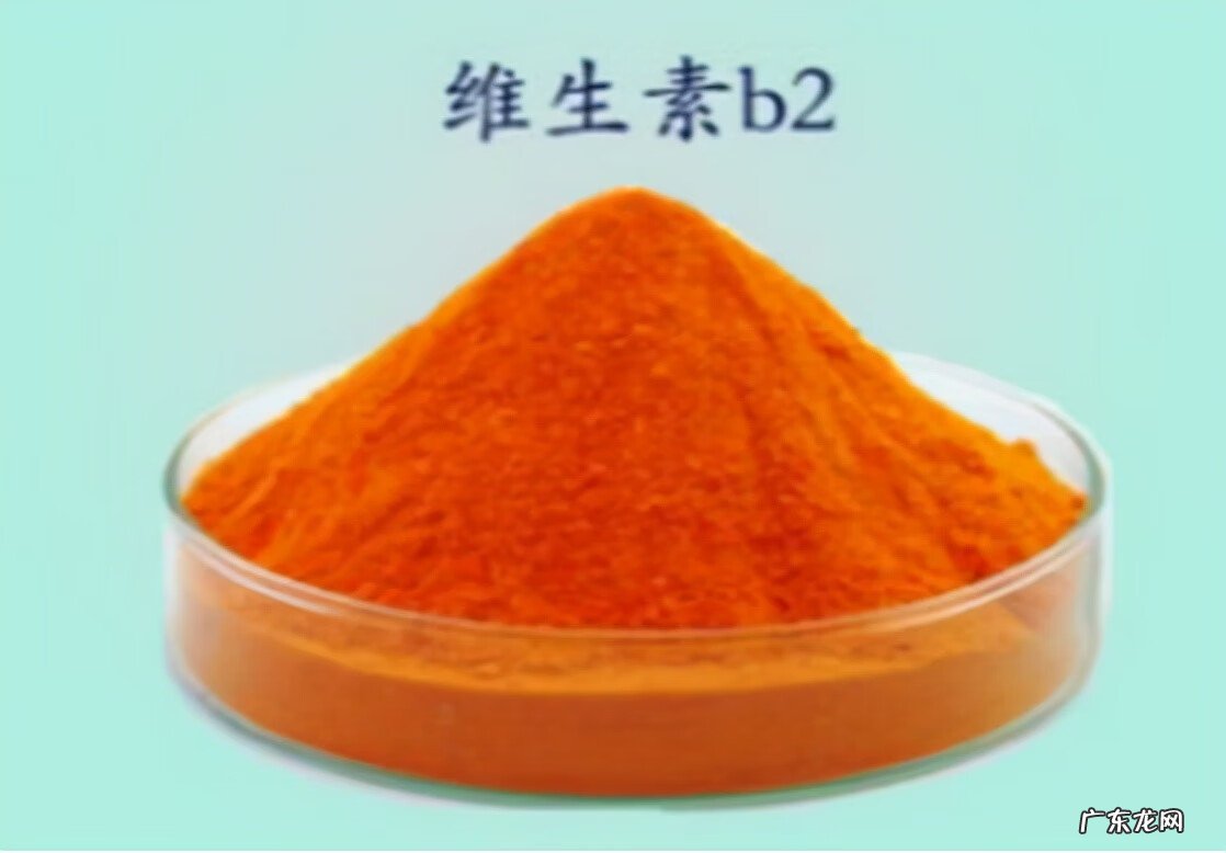 补充维生素b2的食物 维生素B2的食物有哪些