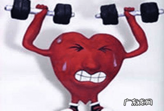 补充维生素b2的食物 维生素B2的食物有哪些