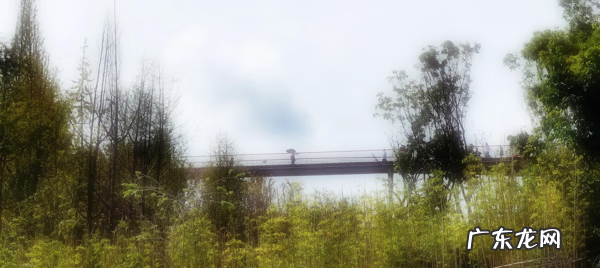 龙泉丹景山景区在哪儿 龙泉丹景山介绍