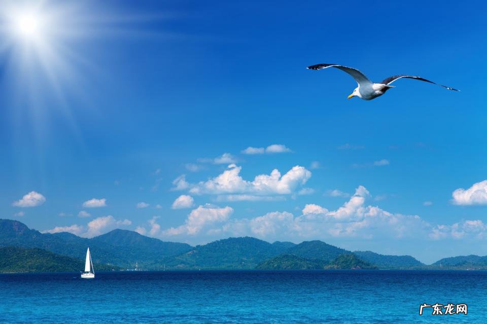 大开头的四字成语大全集 大开头的成语有哪些成语