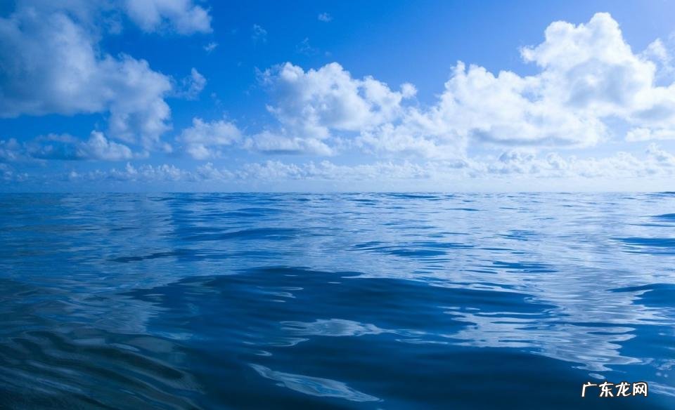 大开头的四字成语大全集 大开头的成语有哪些成语