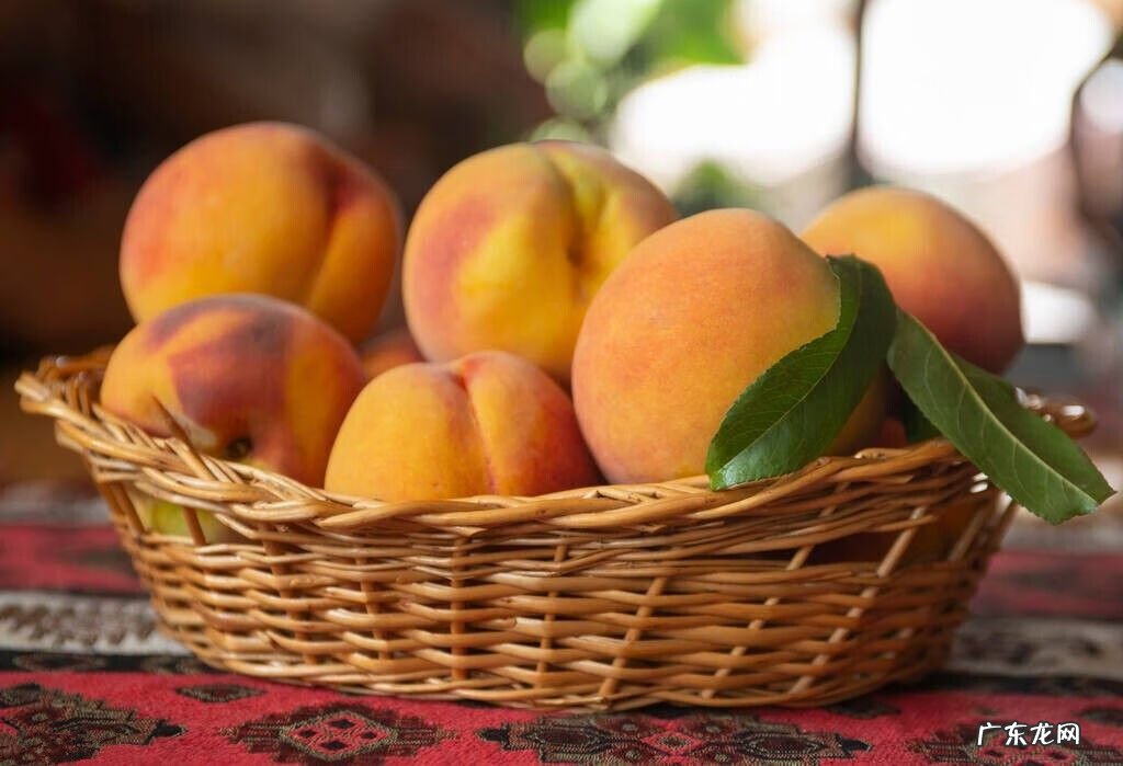 求姻缘供什么水果 送人拿什么水果好