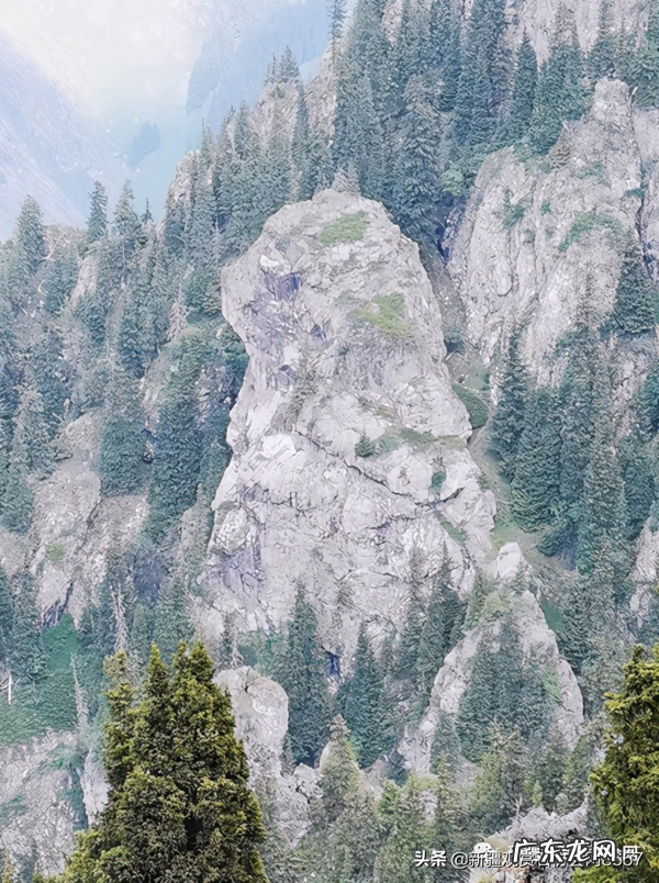 什么是马牙 马牙是什么意思