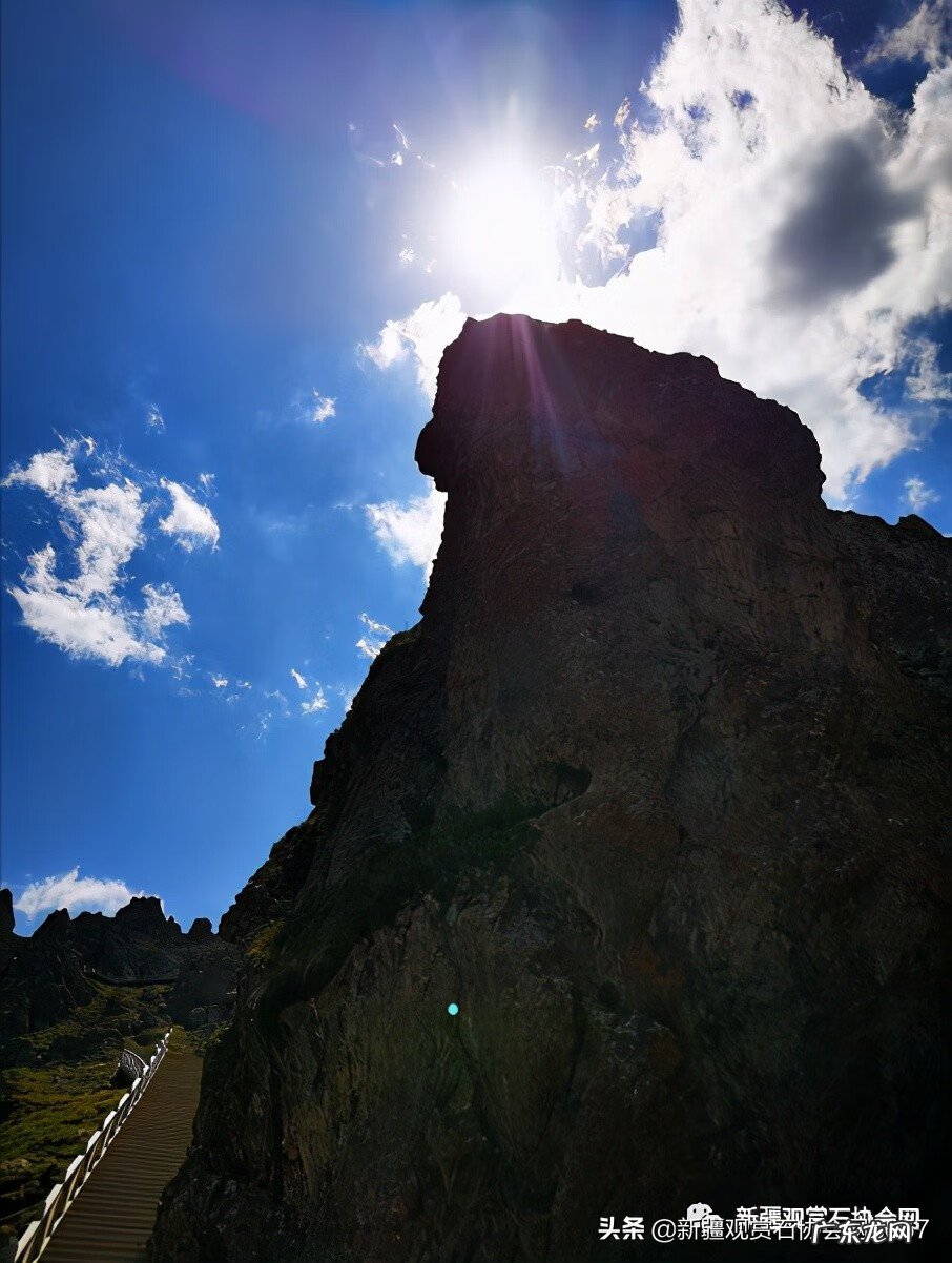 什么是马牙 马牙是什么意思