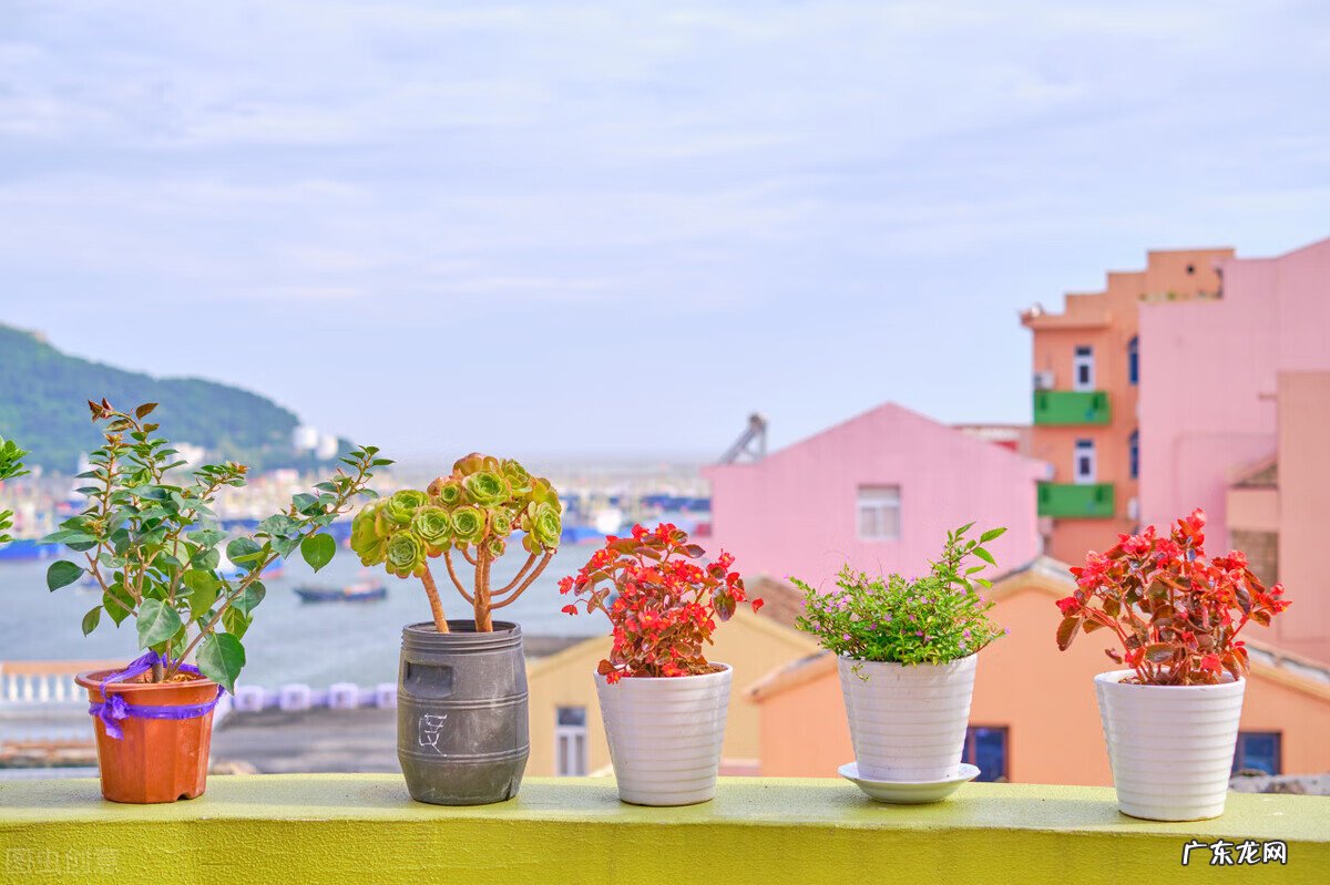 五月出游适合去哪里 五月份适合去哪旅游?