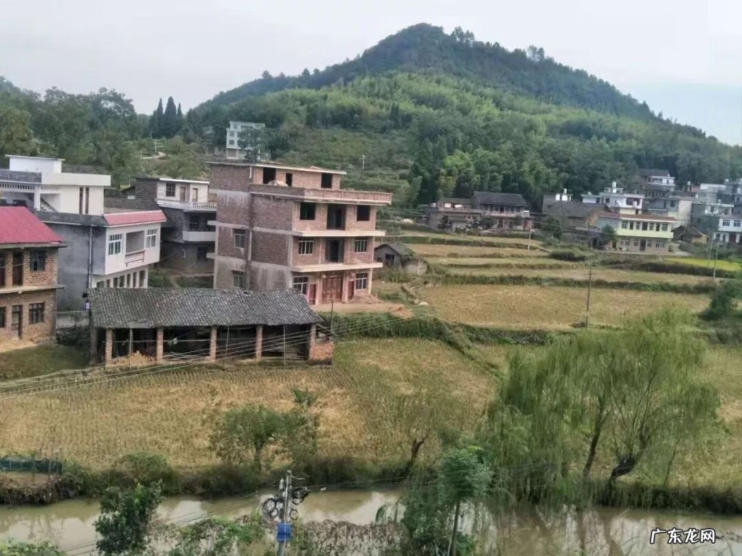 河马风水寓意 马骏 风水