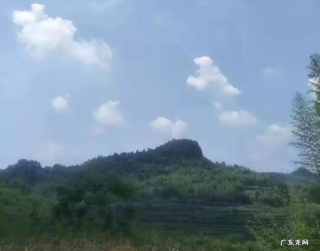 河马风水寓意 马骏 风水