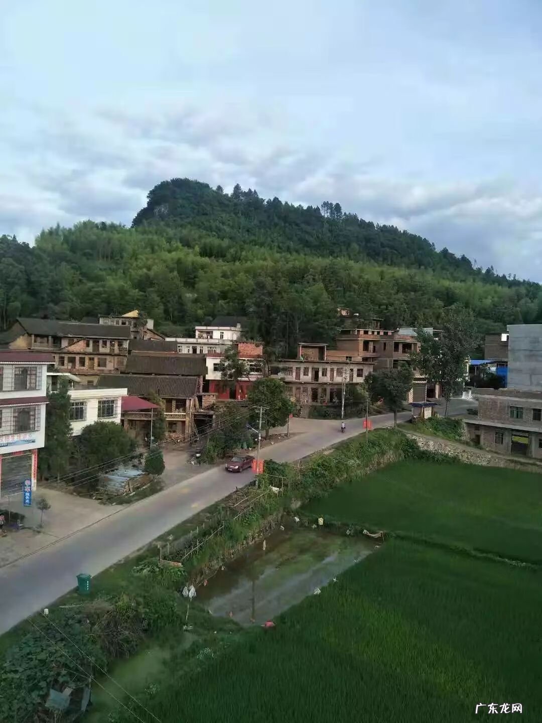 河马风水寓意 马骏 风水