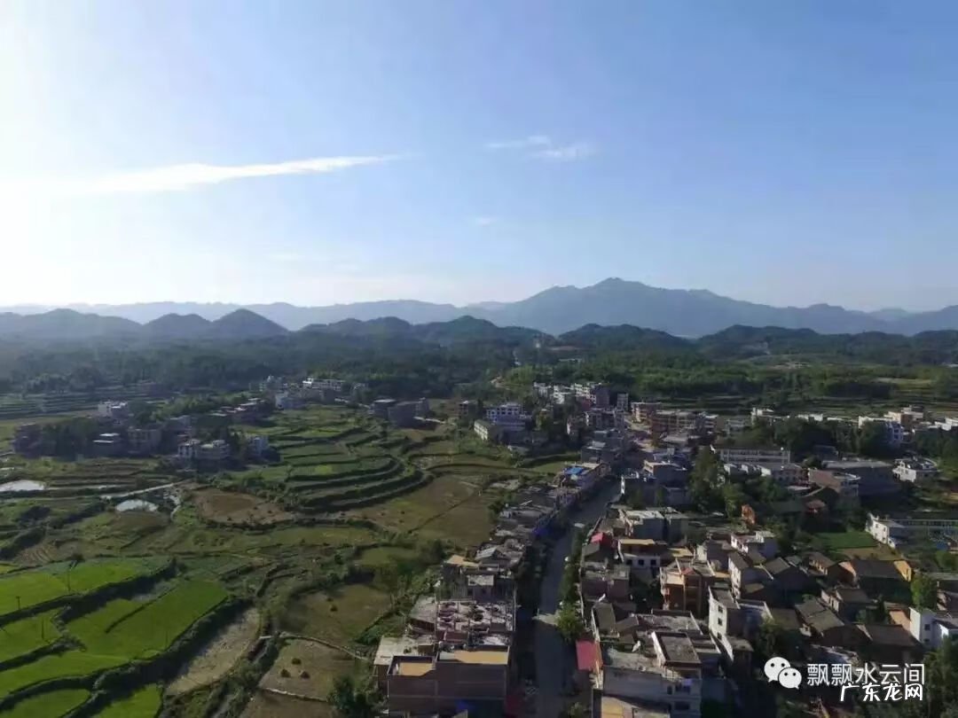 河马风水寓意 马骏 风水