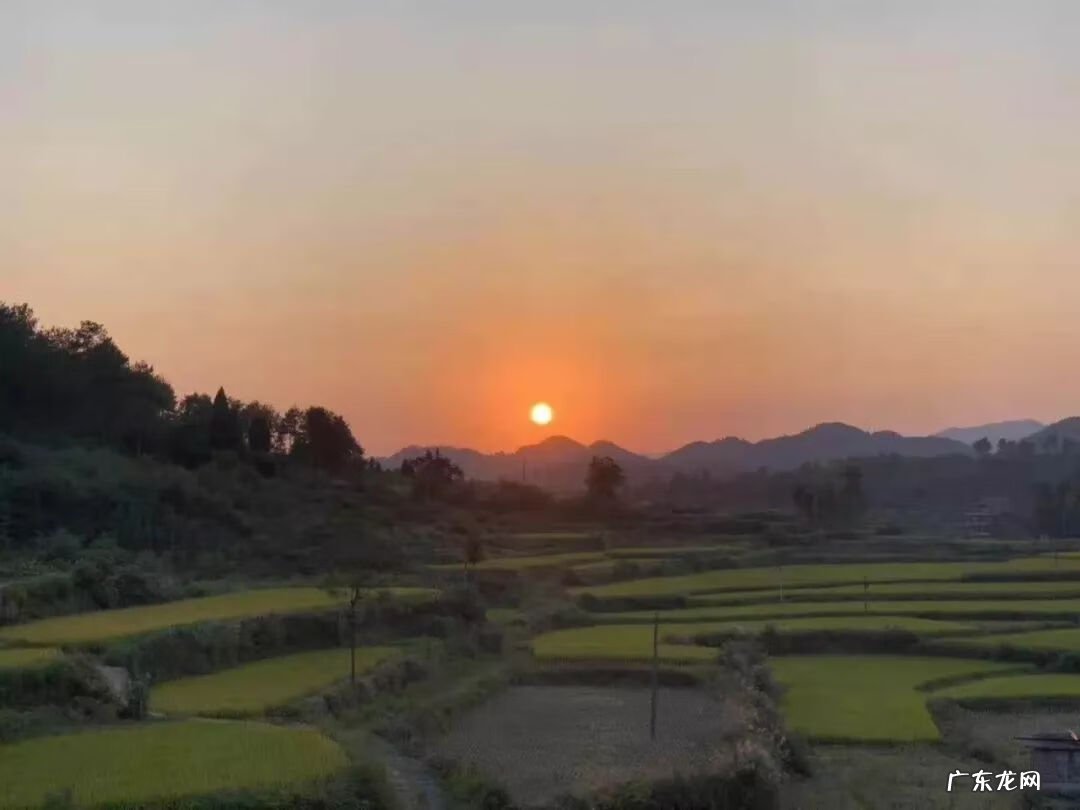 河马风水寓意 马骏 风水