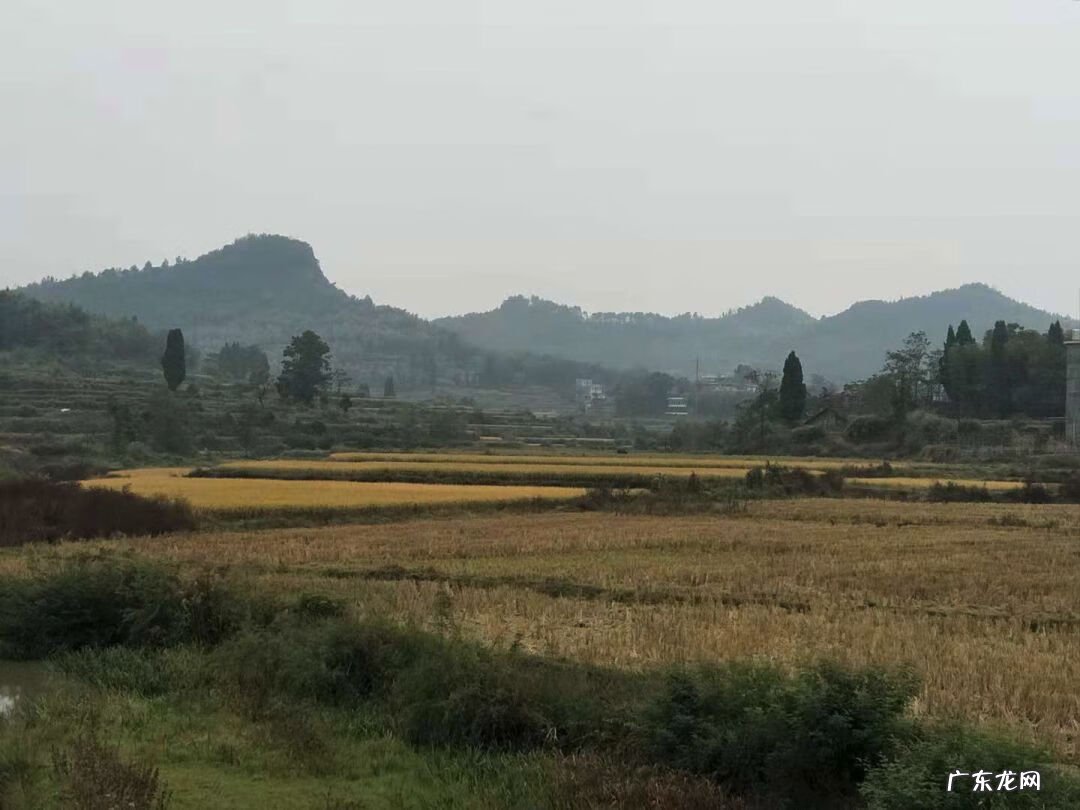 河马风水寓意 马骏 风水