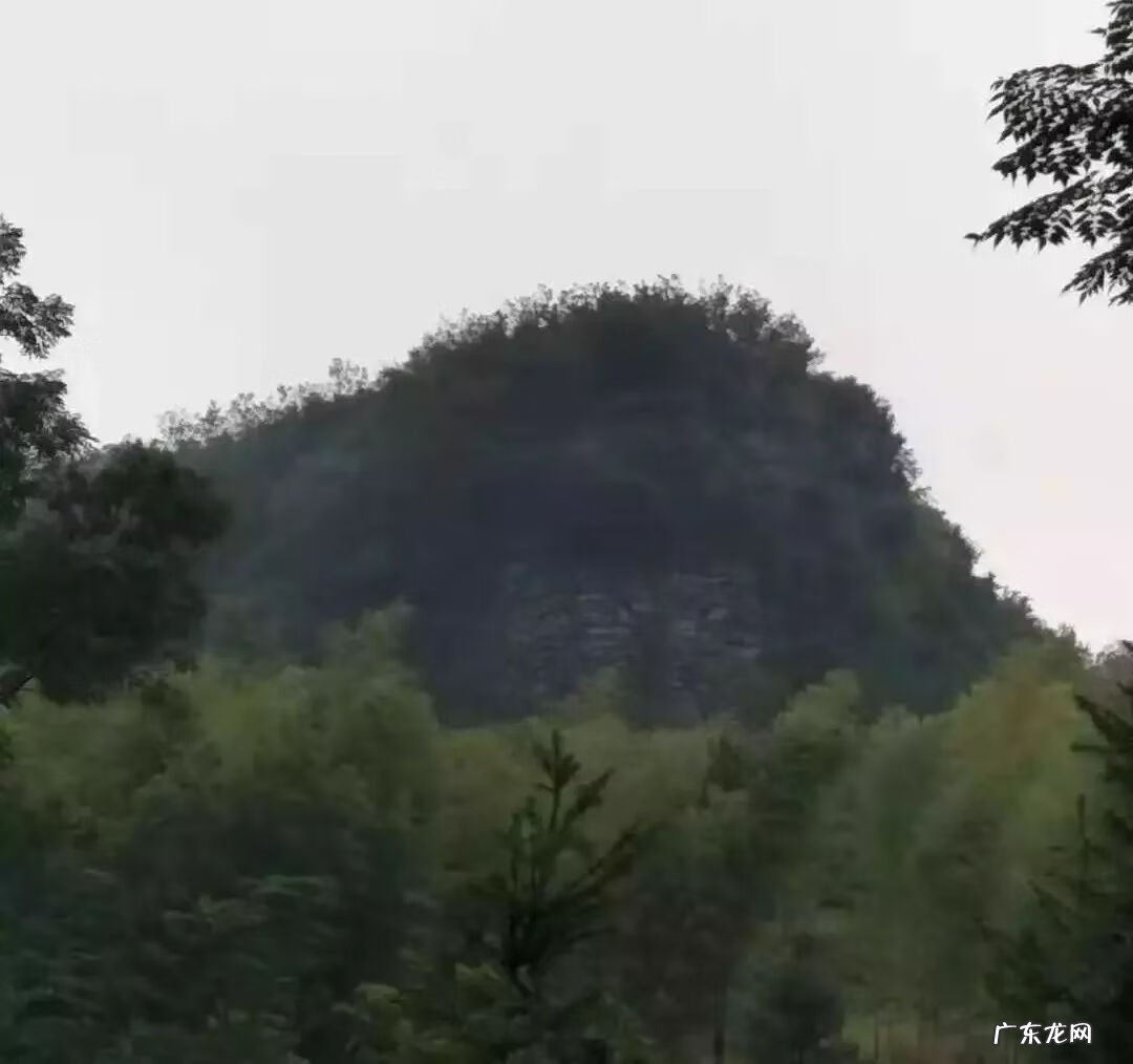 河马风水寓意 马骏 风水