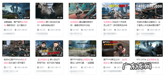 飞鱼加速器 鲸鱼加速器怎么用